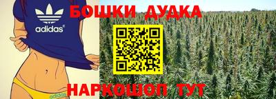 прущие грибы Изобильный