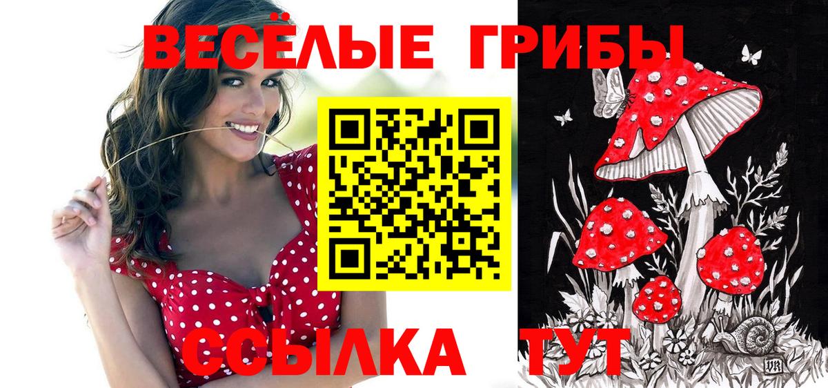 Галлюциногенные грибы прущие грибы Кушва